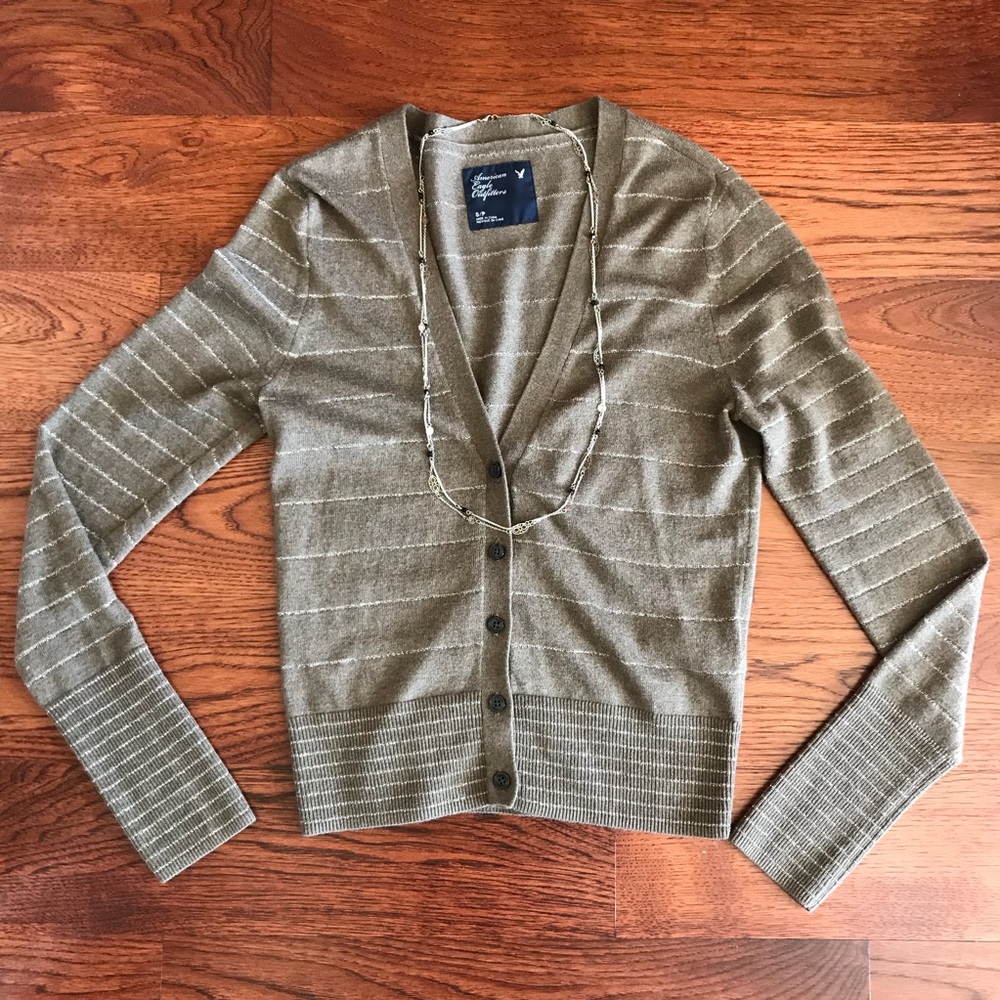 AE Lurex Silver Striped Brown Cardigan (NWOT)